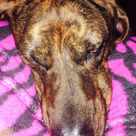 Meet your Posher, Carly - Picture 1 of 1